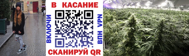 Магазин наркотиков Весьегонск Псилоцибиновые грибы  АМФЕТАМИН  НБОМе  Меф  СК  Бошки Шишки 