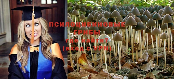 MDMA Premium VHQ Каменногорск