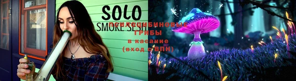 ALPHA PVP Каменка