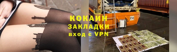 ALPHA PVP Каменка